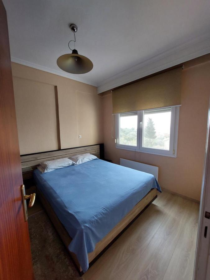 Bright View Apartment PalaiónTsiflíkion Екстериор снимка